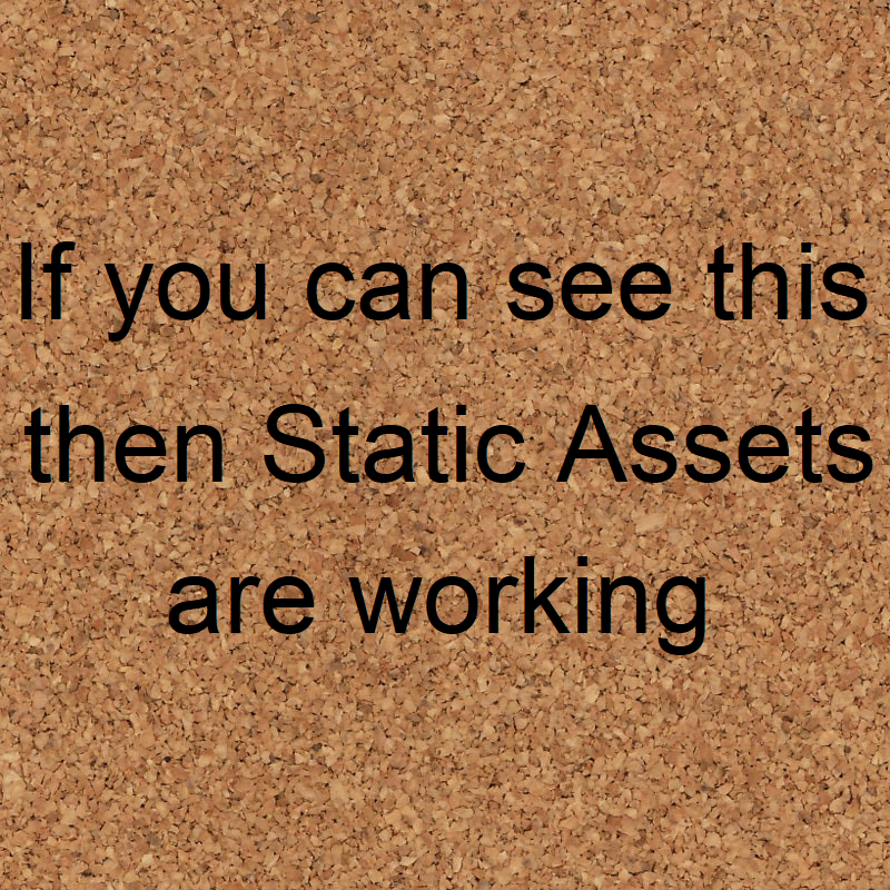 If you can see this then Static Assets are working.